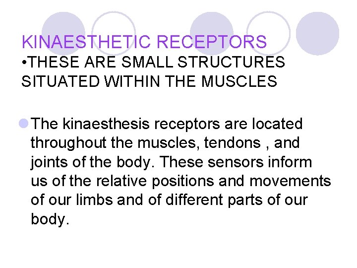 KINAESTHETIC RECEPTORS • THESE ARE SMALL STRUCTURES SITUATED WITHIN THE MUSCLES l The kinaesthesis