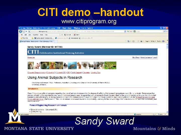 CITI demo –handout www. citiprogram. org Sandy Sward 