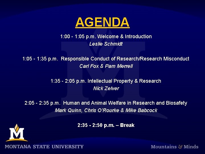 AGENDA 1: 00 - 1: 05 p. m. Welcome & Introduction Leslie Schmidt 1: