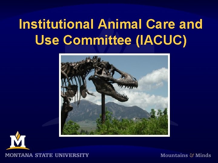 Institutional Animal Care and Use Committee (IACUC) 