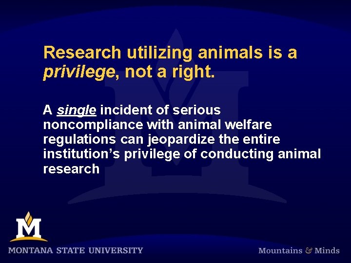 Research utilizing animals is a privilege, not a right. A single incident of serious