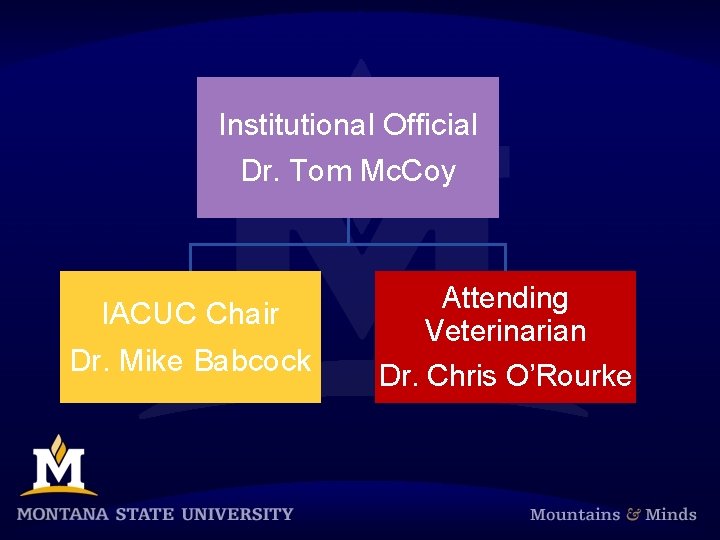 Institutional Official Dr. Tom Mc. Coy IACUC Chair Dr. Mike Babcock Attending Veterinarian Dr.