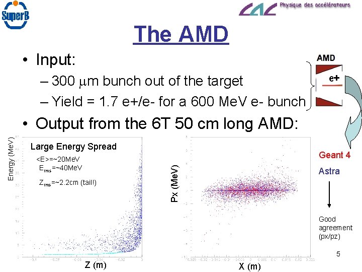 The AMD • Input: – 300 mm bunch out of the target – Yield