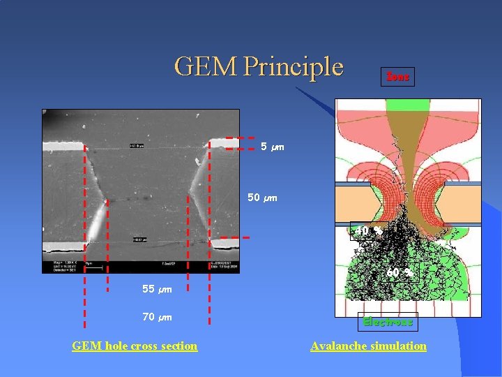 GEM Principle Ions 5 µm 50 µm 40 % 60 % 55 µm 70