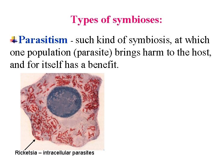 Types of symbioses: Parasitism - such kind of symbiosis, at which one population (parasite)