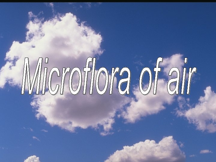 Microflora of air 