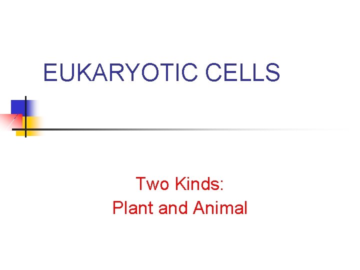 EUKARYOTIC CELLS Two Kinds: Plant and Animal 