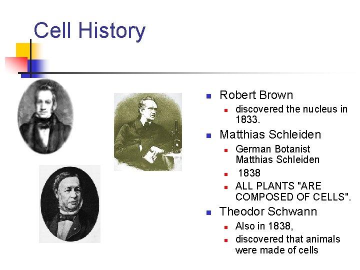 Cell History n Robert Brown n n Matthias Schleiden n n discovered the nucleus