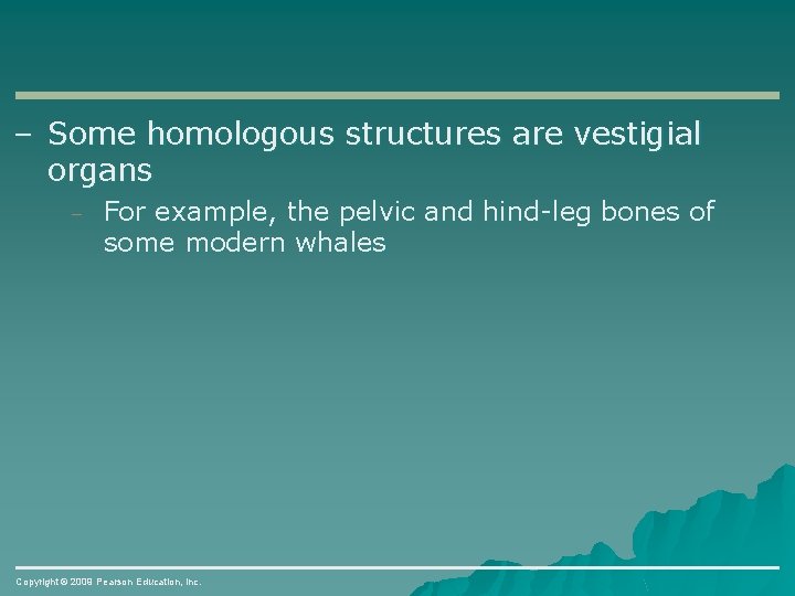 – Some homologous structures are vestigial organs – For example, the pelvic and hind-leg