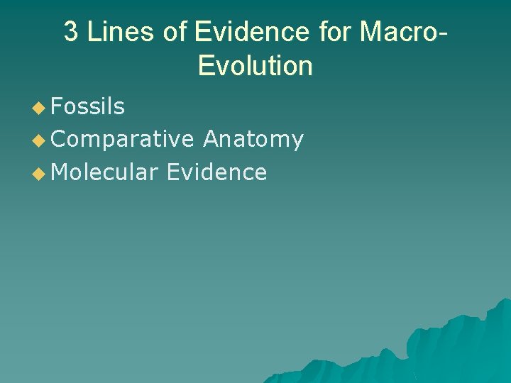 3 Lines of Evidence for Macro. Evolution u Fossils u Comparative Anatomy u Molecular