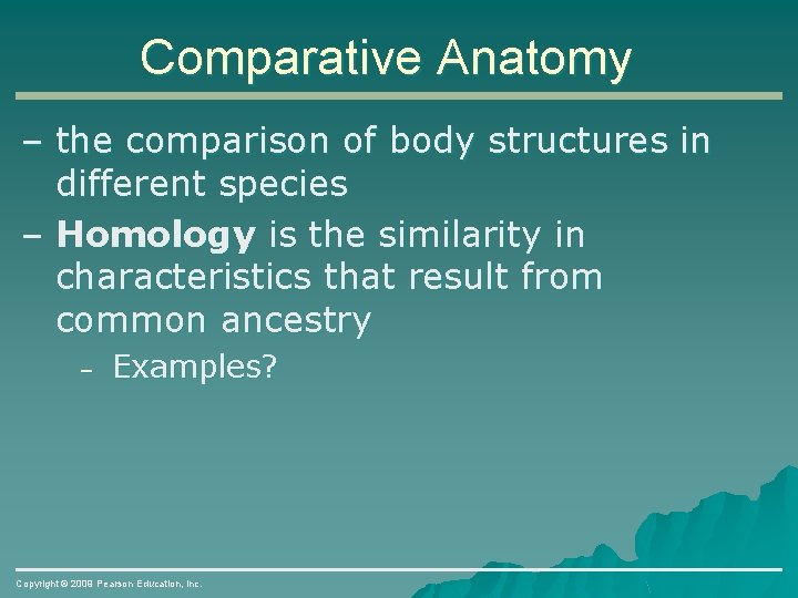 Comparative Anatomy – the comparison of body structures in different species – Homology is