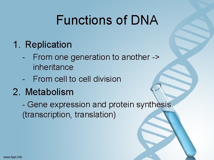 Functions of DNA 1. Replication - From one generation to another -> inheritance -