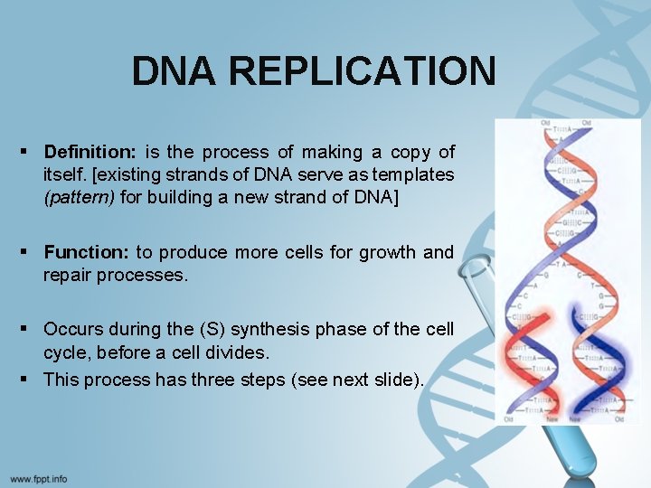DNA REPLICATION § Definition: is the process of making a copy of itself. [existing