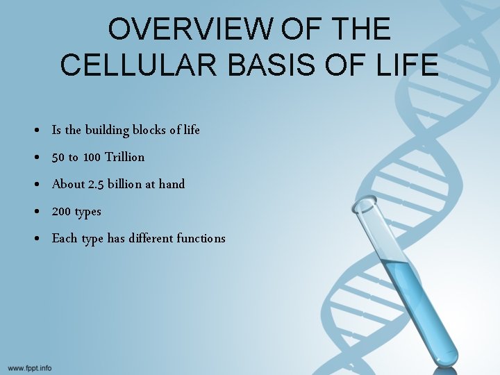 OVERVIEW OF THE CELLULAR BASIS OF LIFE • • • Is the building blocks