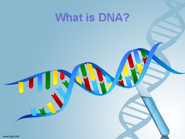 What is DNA? 