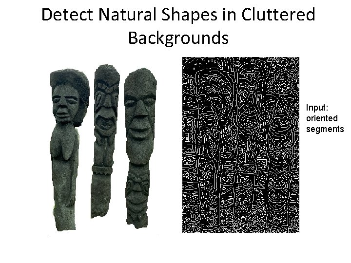 Detect Natural Shapes in Cluttered Backgrounds Input: oriented segments Detect Natural Shapes in Cluttered Backgrounds Input: oriented segments