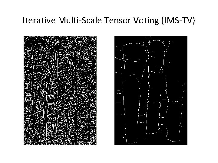 Iterative Multi-Scale Tensor Voting (IMS-TV) Iterative Multi-Scale Tensor Voting (IMS-TV)
