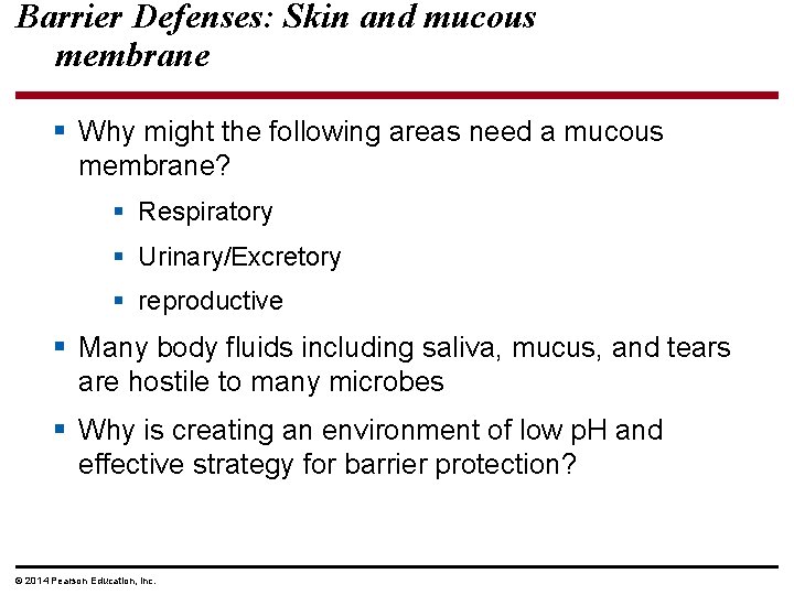 Barrier Defenses: Skin and mucous membrane § Why might the following areas need a