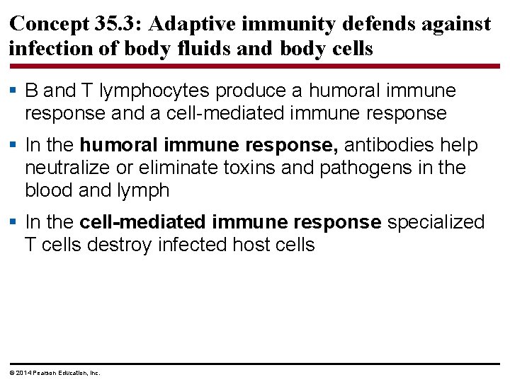 Concept 35. 3: Adaptive immunity defends against infection of body fluids and body cells