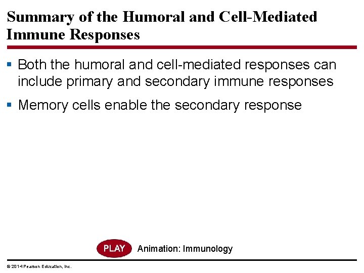 Summary of the Humoral and Cell-Mediated Immune Responses § Both the humoral and cell-mediated