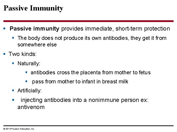Passive Immunity § Passive immunity provides immediate, short-term protection § The body does not