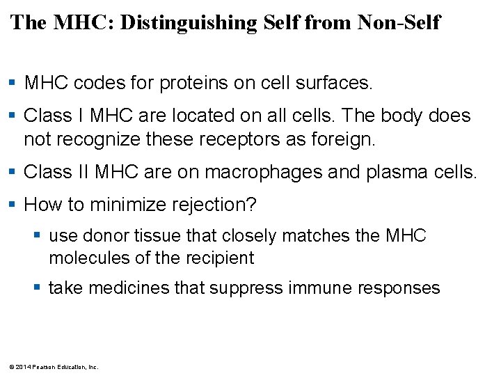 The MHC: Distinguishing Self from Non-Self § MHC codes for proteins on cell surfaces.