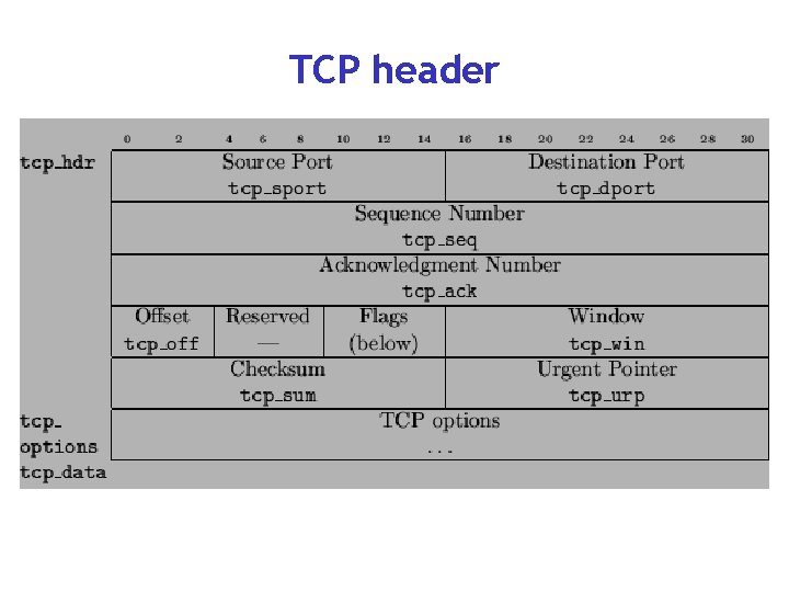 TCP header 