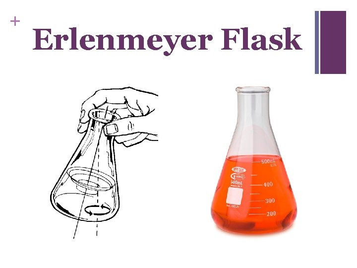 + Erlenmeyer Flask 