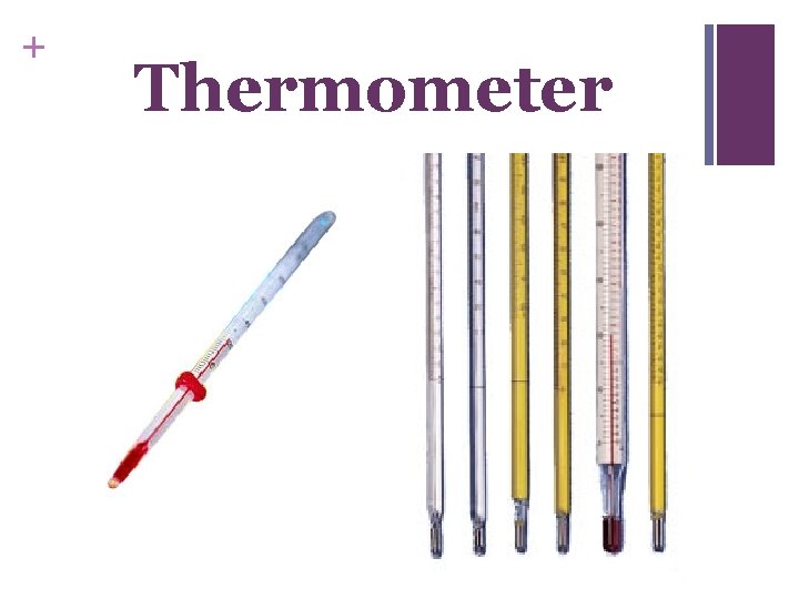 + Thermometer 