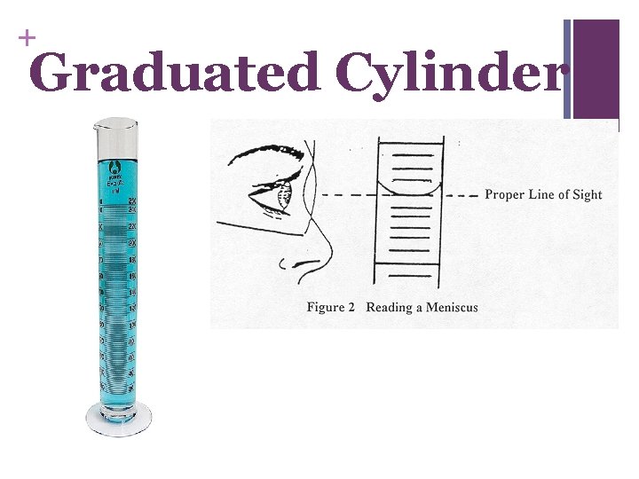 + Graduated Cylinder 