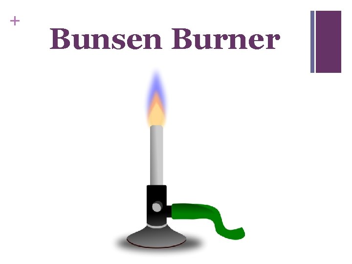 + Bunsen Burner 