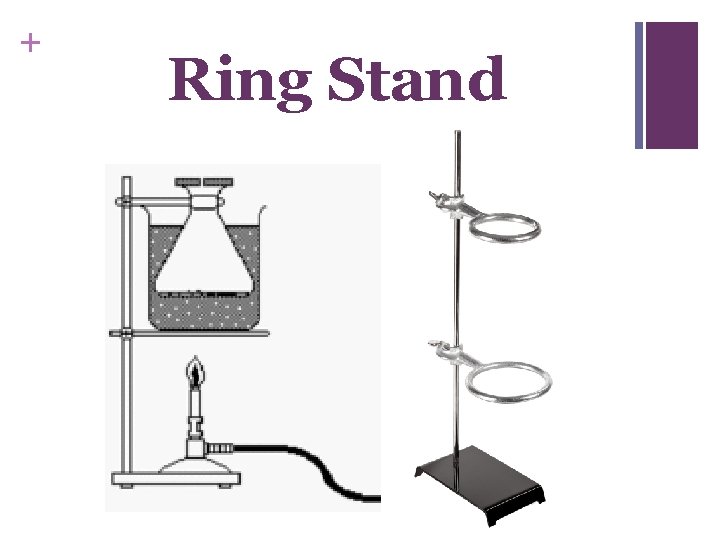 + Ring Stand 