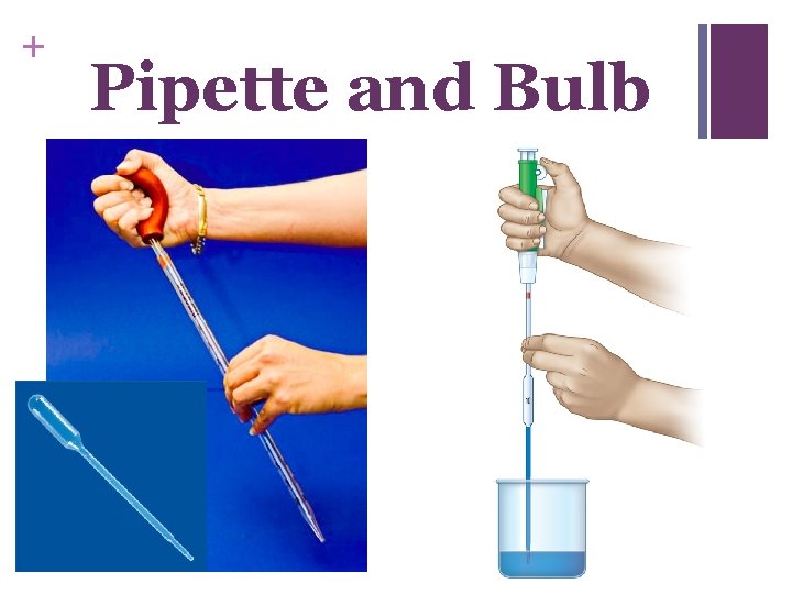 + Pipette and Bulb 