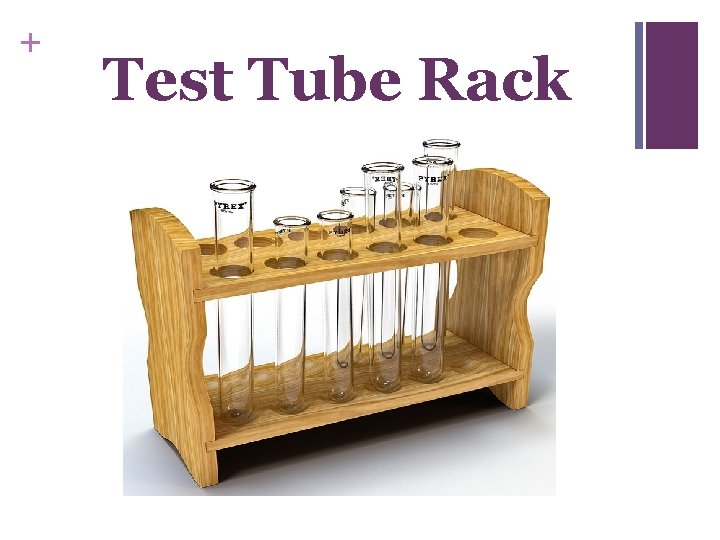 + Test Tube Rack 