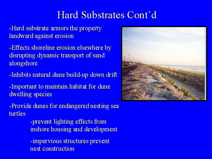 Hard Substrates Cont’d -Hard substrate armors the property landward against erosion -Effects shoreline erosion