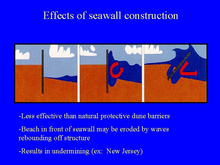 Effects of seawall construction -Less effective than natural protective dune barriers -Beach in front