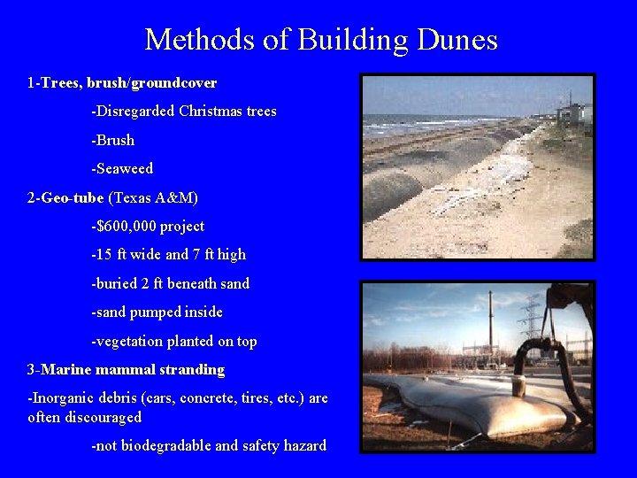 Methods of Building Dunes 1 -Trees, brush/groundcover -Disregarded Christmas trees -Brush -Seaweed 2 -Geo-tube