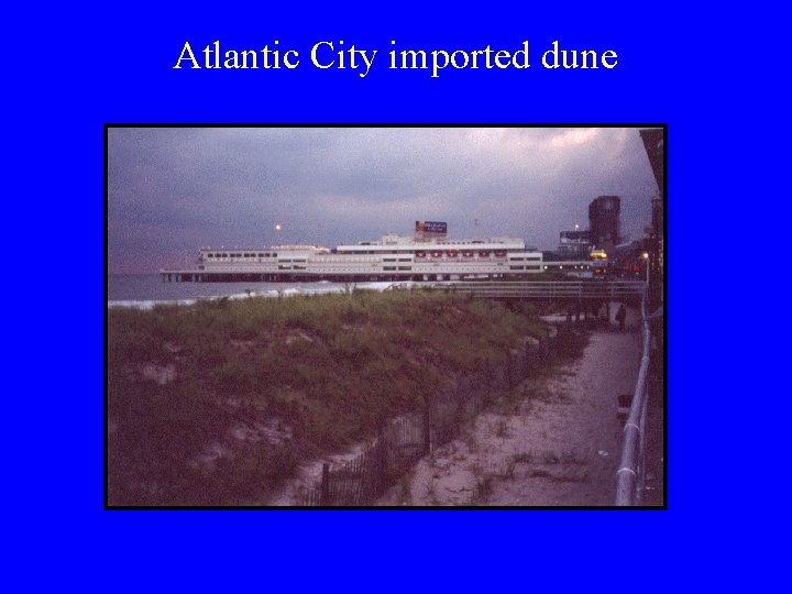 Atlantic City imported dune 