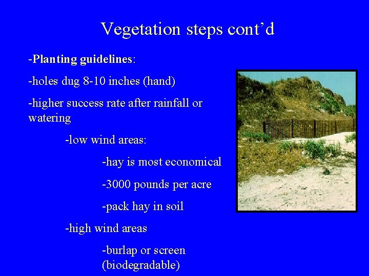 Vegetation steps cont’d -Planting guidelines: -holes dug 8 -10 inches (hand) -higher success rate