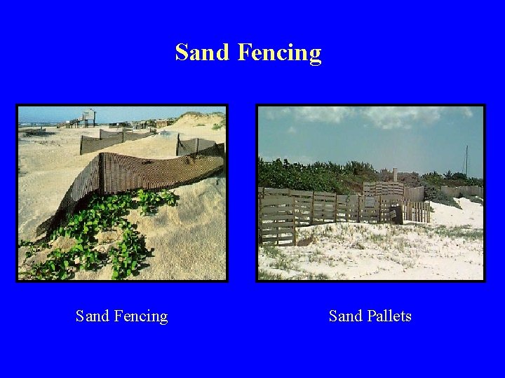 Sand Fencing Sand Pallets 