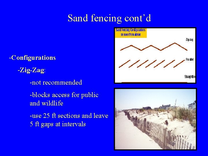 Sand fencing cont’d -Configurations -Zig-Zag: -not recommended -blocks access for public and wildlife -use