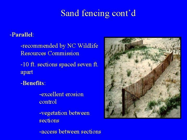 Sand fencing cont’d -Parallel: -recommended by NC Wildlife Resources Commission -10 ft. sections spaced
