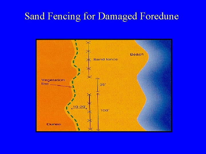 Sand Fencing for Damaged Foredune 