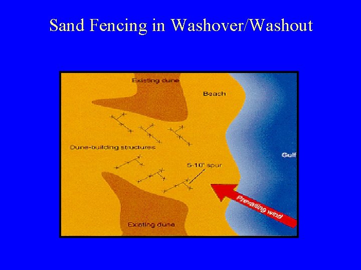 Sand Fencing in Washover/Washout 