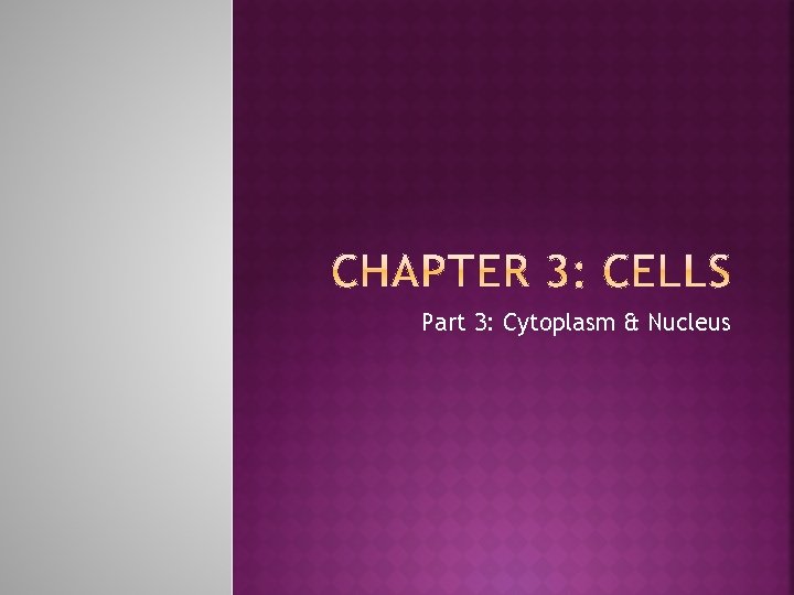 Part 3: Cytoplasm & Nucleus 