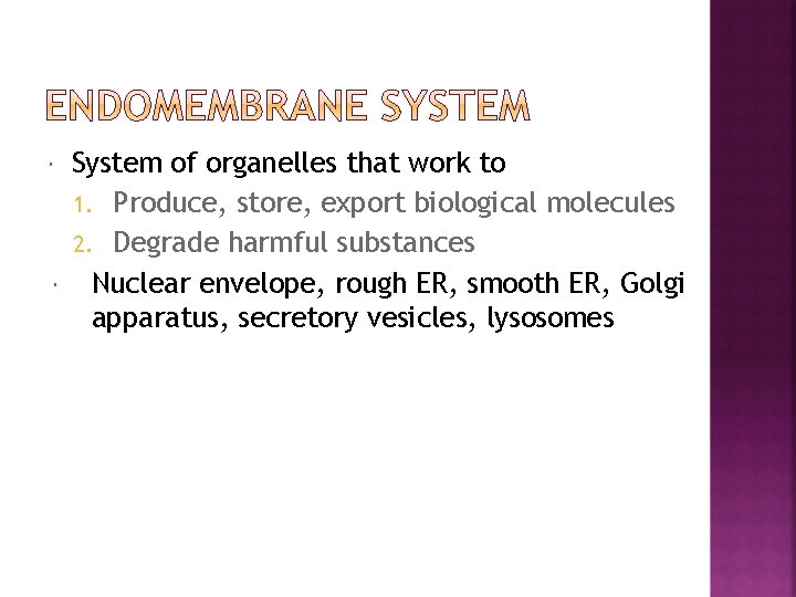  System of organelles that work to 1. Produce, store, export biological molecules 2.