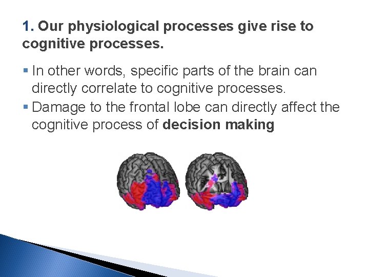 1. Our physiological processes give rise to cognitive processes. § In other words, specific