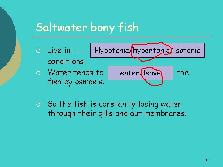 Saltwater bony fish ¡ ¡ ¡ Live in……… Hypotonic/hypertonic/isotonic conditions Water tends to the