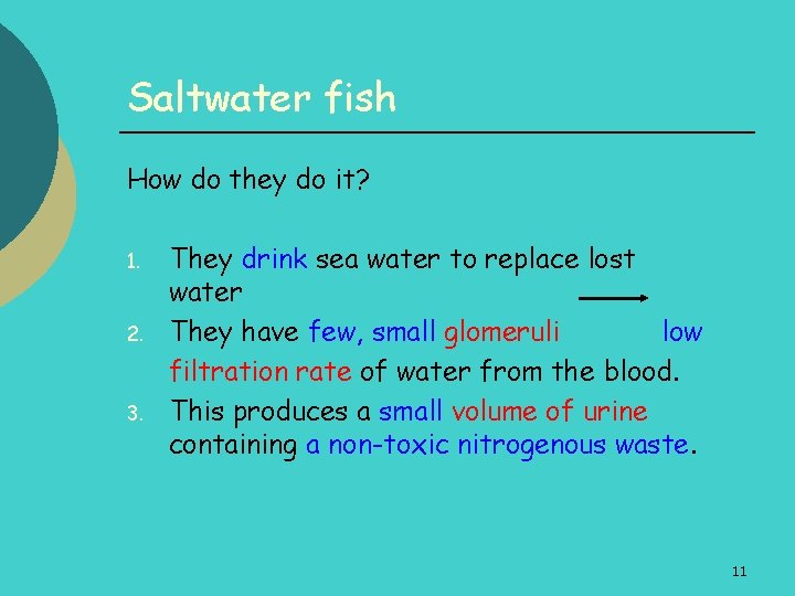 Saltwater fish How do they do it? 1. 2. 3. They drink sea water