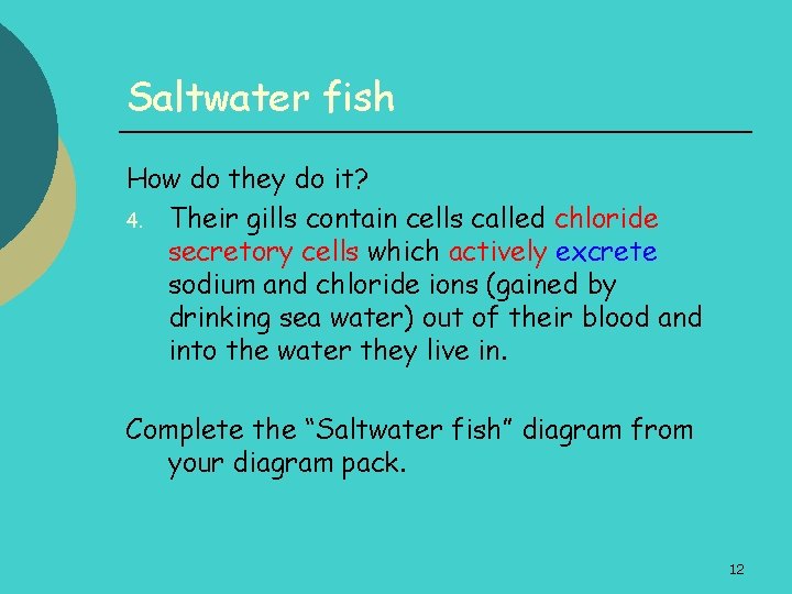 Saltwater fish How do they do it? 4. Their gills contain cells called chloride